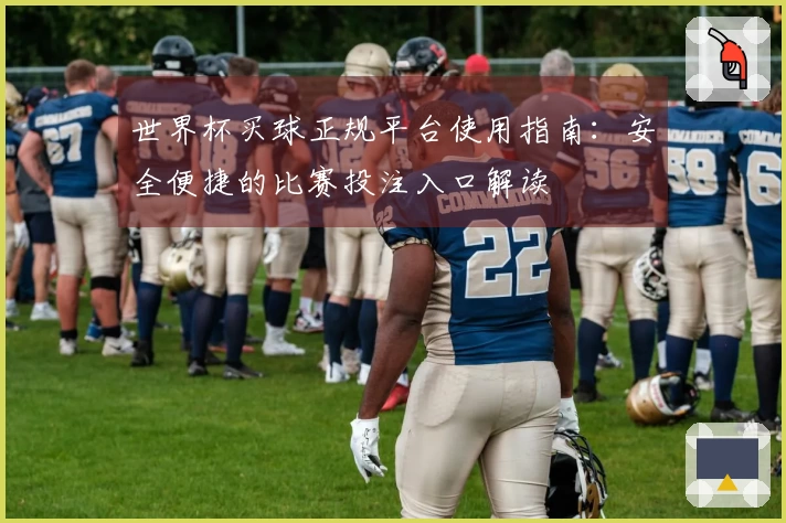 世界杯买球正规平台使用指南：安全便捷的比赛投注入口解读