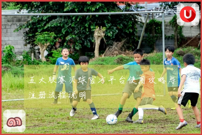 五大联赛买球官方平台使用攻略与注册流程说明
