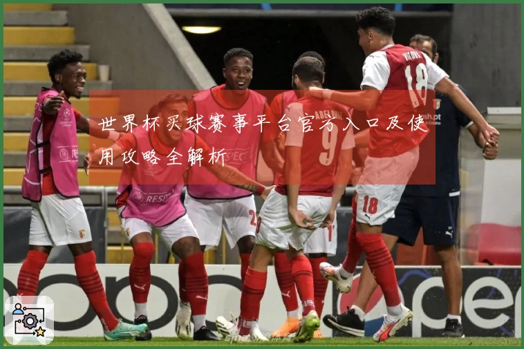 世界杯买球赛事平台官方入口及使用攻略全解析
