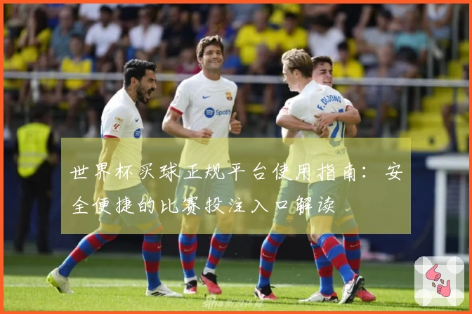 世界杯买球正规平台使用指南：安全便捷的比赛投注入口解读