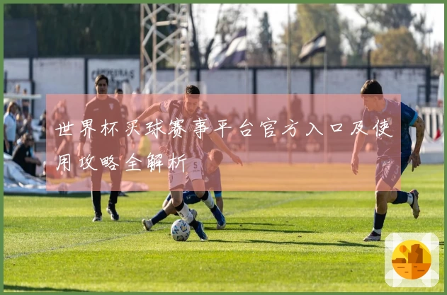 世界杯买球赛事平台官方入口及使用攻略全解析