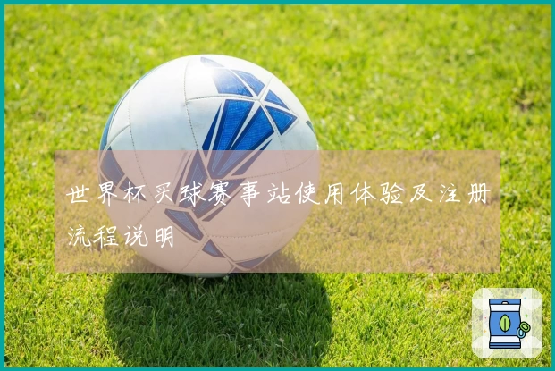 世界杯买球赛事站使用体验及注册流程说明