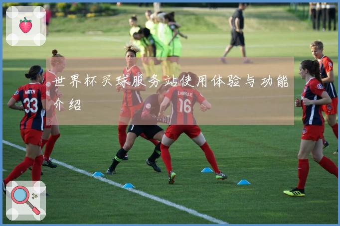 世界杯买球服务站使用体验与功能介绍