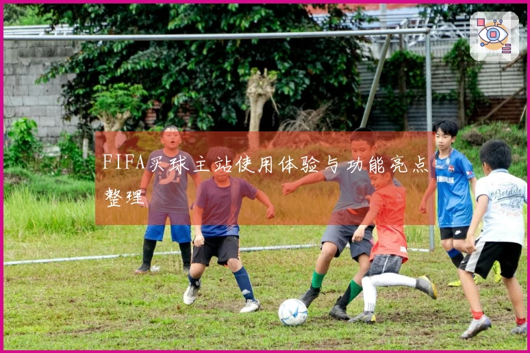FIFA买球主站使用体验与功能亮点整理