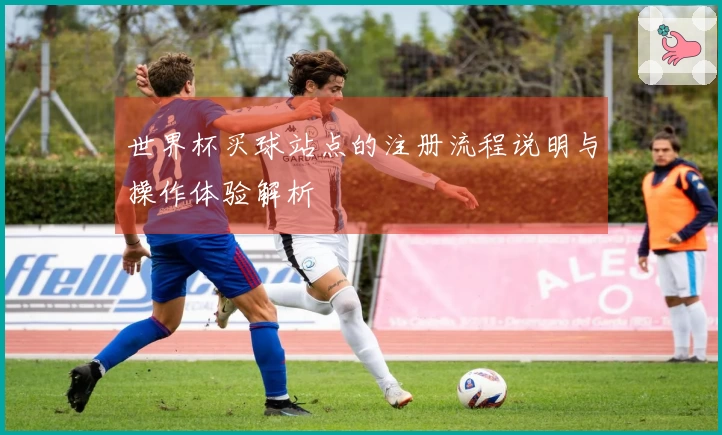 世界杯买球站点的注册流程说明与操作体验解析